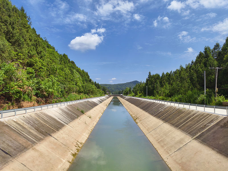 �ҿ�����